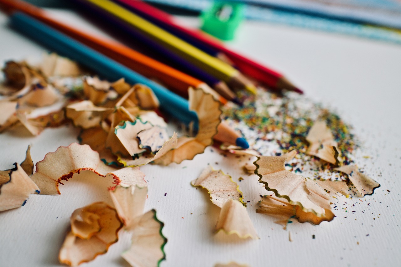 Sustainability in Schools - What's the Role?